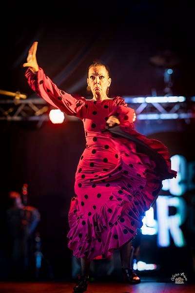 flamenco (78)